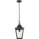 Curry 1 Light 9 inch Powder Coated Black Outdoor Hanging Lantern